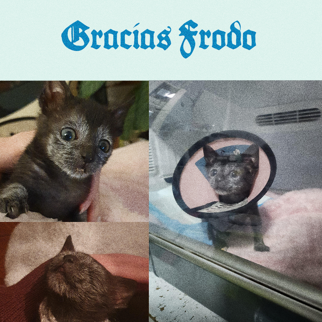 Wallpaper_jun26_cara_de_bola-2