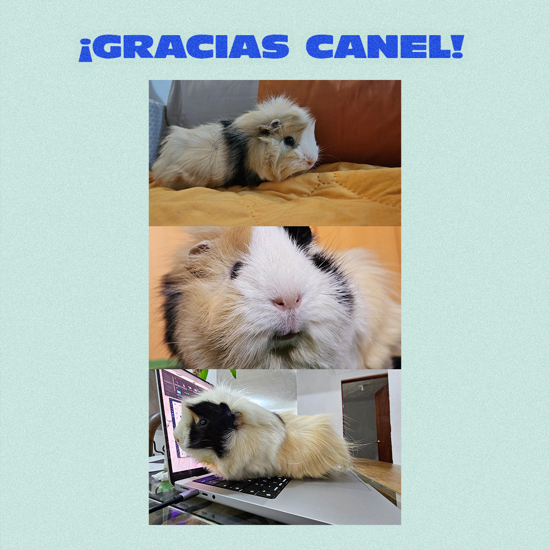 Wallpaper_may26_cara_de_bola-2