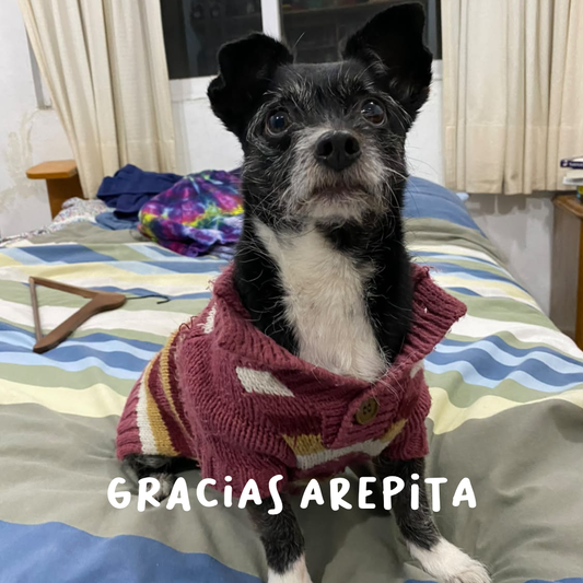 arepa-sep26-cara-de-bola-3