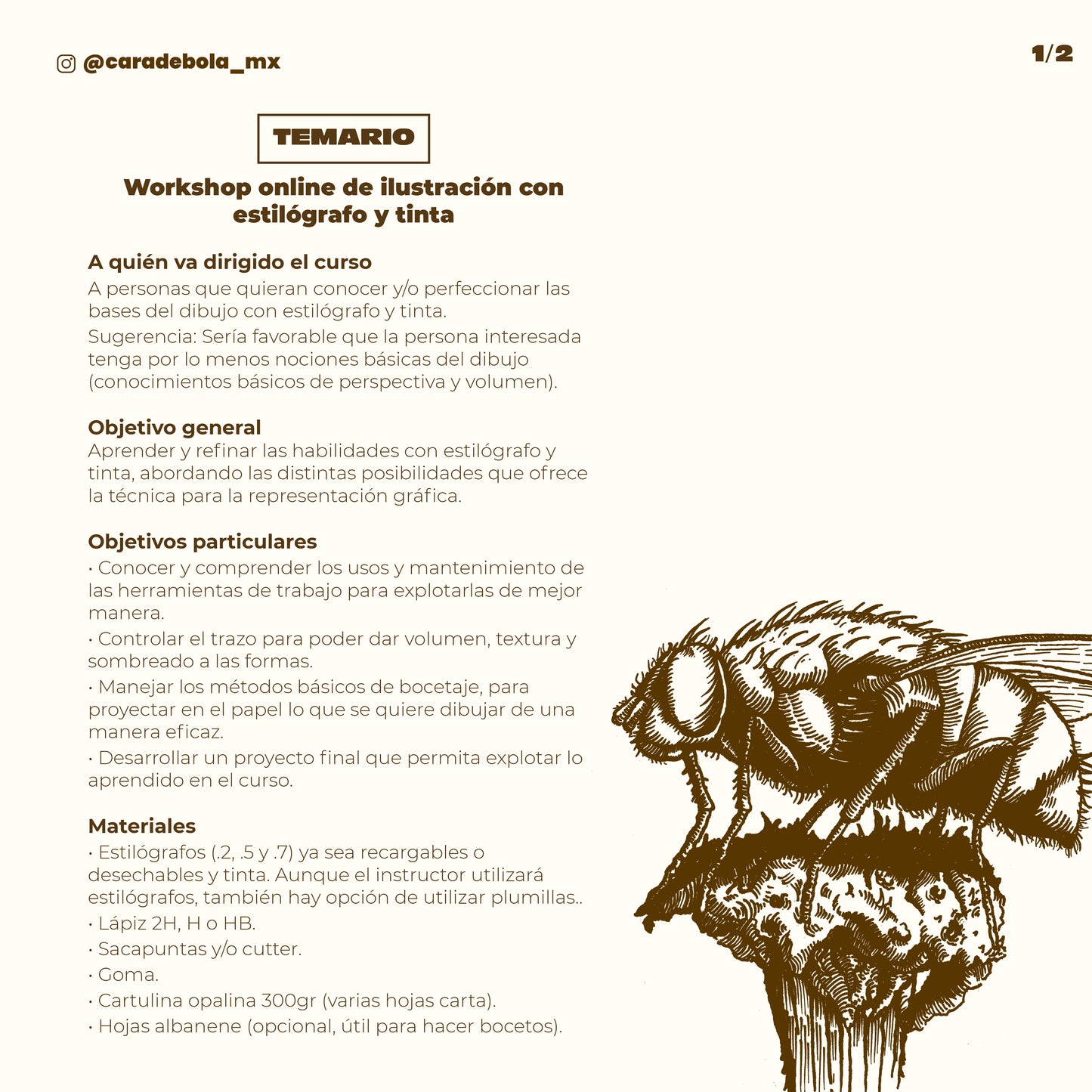 workshop-ilustracion-cara-de-bola-temario-1