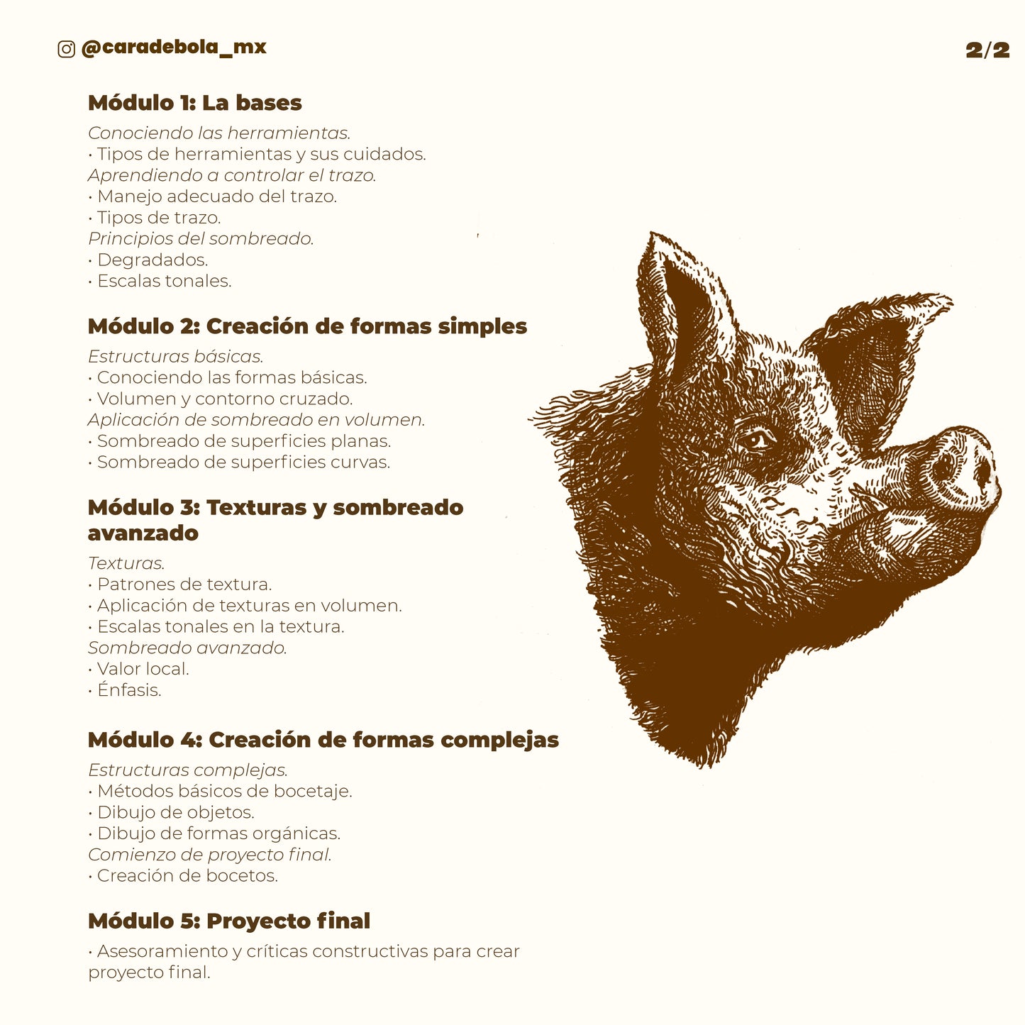 workshop-ilustracion-cara-de-bola-temario-2